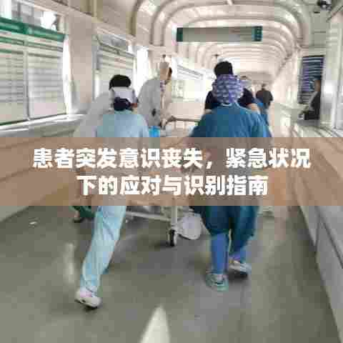 患者突发意识丧失，紧急状况下的应对与识别指南