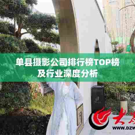 单县摄影公司排行榜TOP榜及行业深度分析