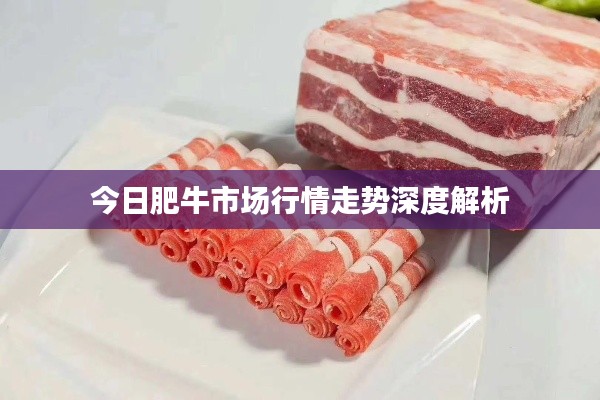 今日肥牛市场行情走势深度解析