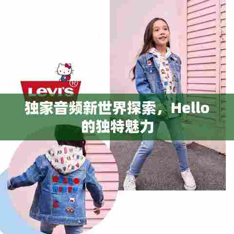 独家音频新世界探索，Hello的独特魅力