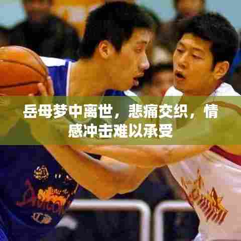 岳母梦中离世，悲痛交织，情感冲击难以承受