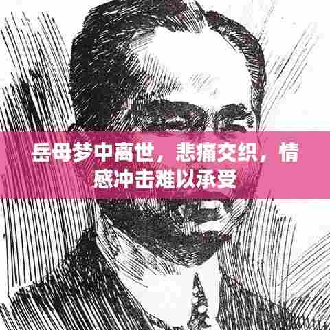 岳母梦中离世,悲痛交织,情感冲击难以承受