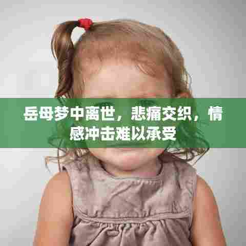 岳母梦中离世,悲痛交织,情感冲击难以承受