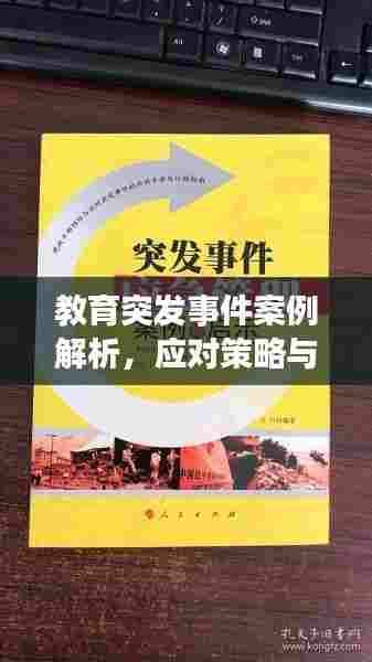 教育突发事件案例解析，应对策略与启示