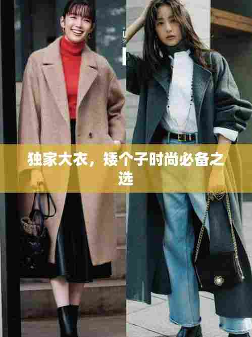 独家大衣，矮个子时尚必备之选