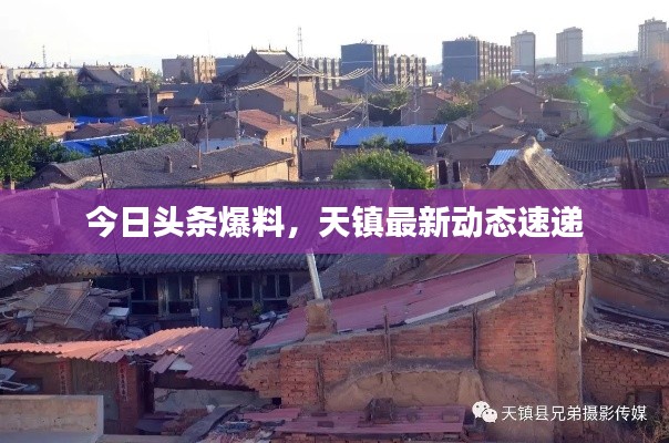 今日头条爆料，天镇最新动态速递