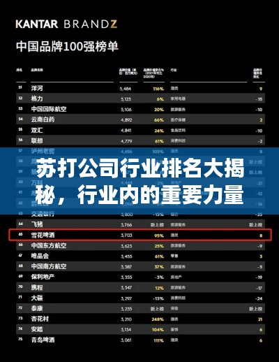 苏打公司行业排名大揭秘,行业内的重要力量!