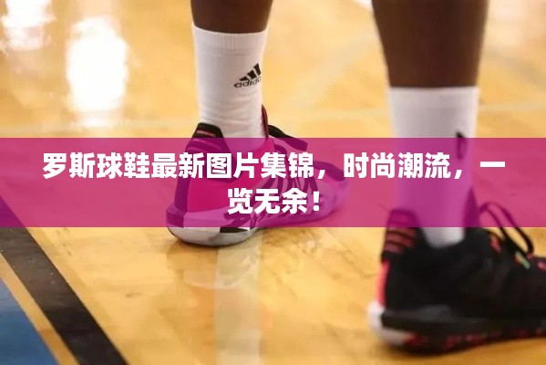 罗斯球鞋最新图片集锦，时尚潮流，一览无余！