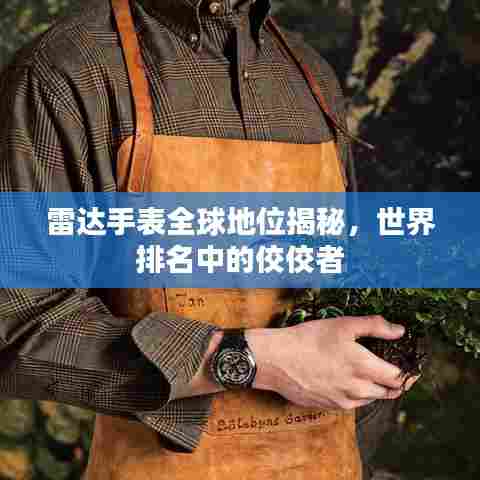 雷达手表全球地位揭秘，世界排名中的佼佼者