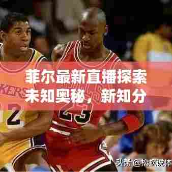菲尔最新直播探索未知奥秘，新知分享吸引眼球