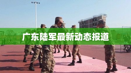 广东陆军最新动态报道