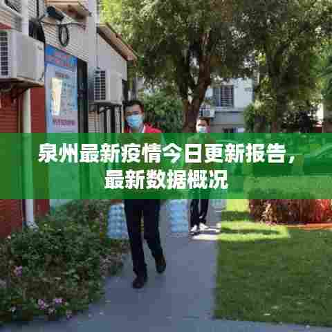 泉州最新疫情今日更新报告，最新数据概况