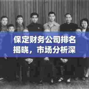 保定财务公司排名揭晓,市场分析深度解读