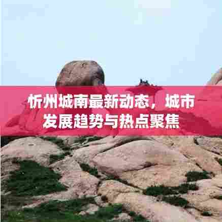 忻州城南最新动态,城市发展趋势与热点聚焦