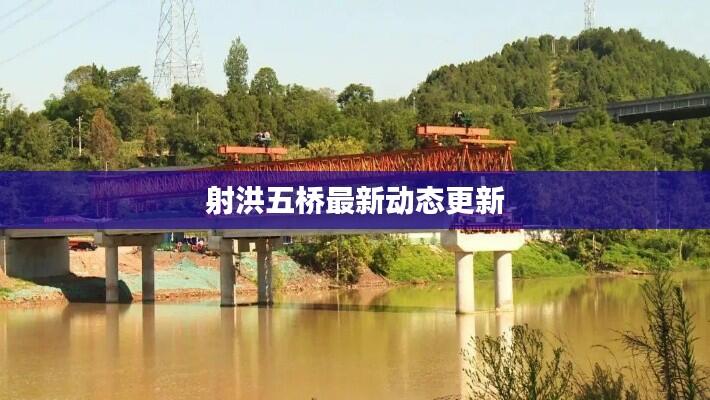 射洪五桥最新动态更新