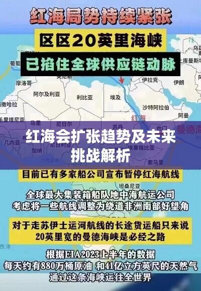 红海会扩张趋势及未来挑战解析