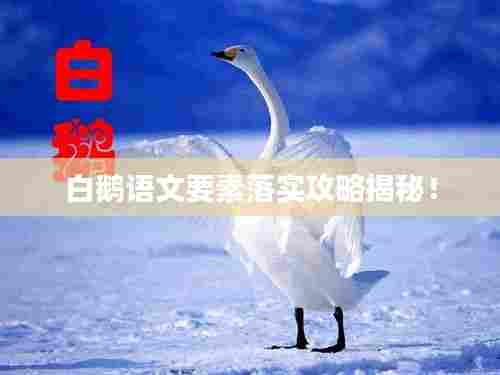 白鹅语文要素落实攻略揭秘!