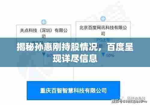 揭秘孙惠刚持股情况，百度呈现详尽信息