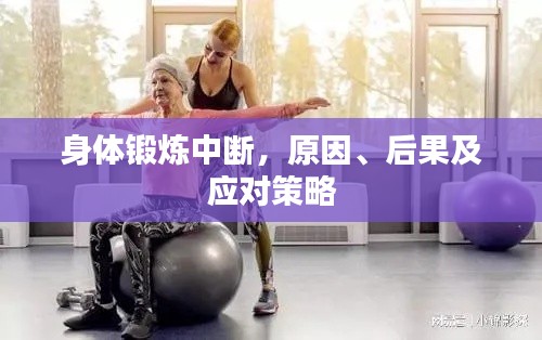 身体锻炼中断，原因、后果及应对策略