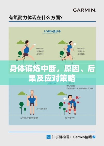 身体锻炼中断,原因、后果及应对策略