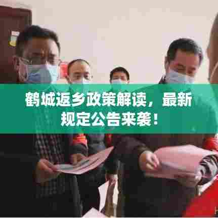 鹤城返乡政策解读,最新规定公告来袭!