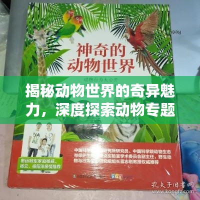 揭秘动物世界的奇异魅力，深度探索动物专题作文