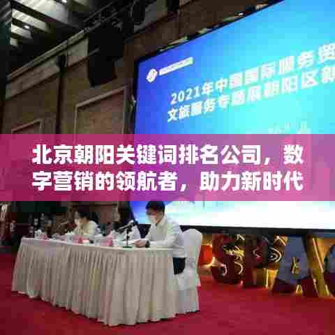 北京朝阳关键词排名公司,数字营销的领航者,助力新时代营销风潮