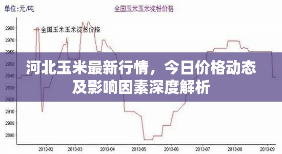 河北玉米最新行情，今日价格动态及影响因素深度解析