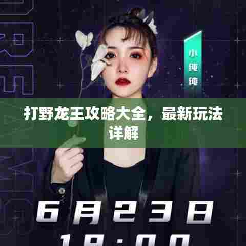 打野龙王攻略大全,最新玩法详解