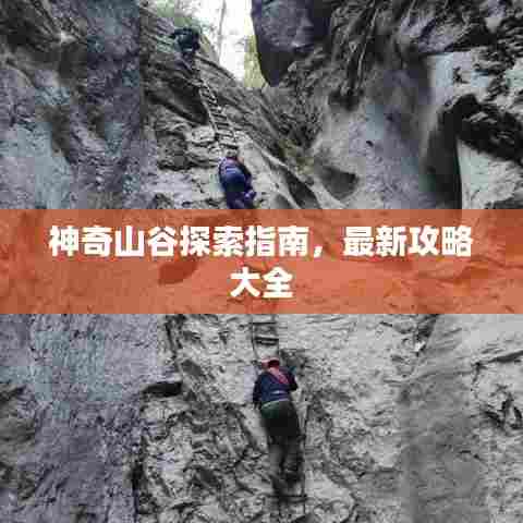 神奇山谷探索指南,最新攻略大全