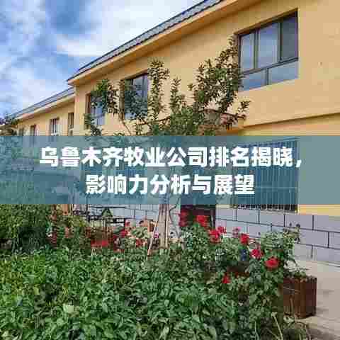 乌鲁木齐牧业公司排名揭晓，影响力分析与展望
