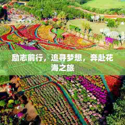 励志前行，追寻梦想，奔赴花海之旅