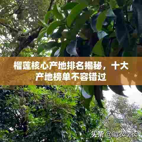 榴莲核心产地排名揭秘,十大产地榜单不容错过