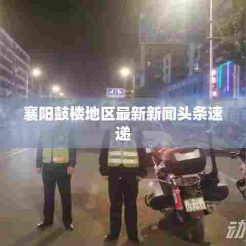 襄阳鼓楼地区最新新闻头条速递