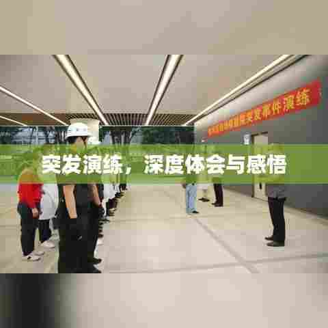 突发演练，深度体会与感悟