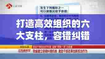 打造高效组织的六大支柱，容错纠错机制的落实之道