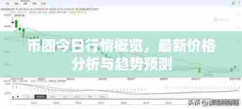 币圈今日行情概览，最新价格分析与趋势预测