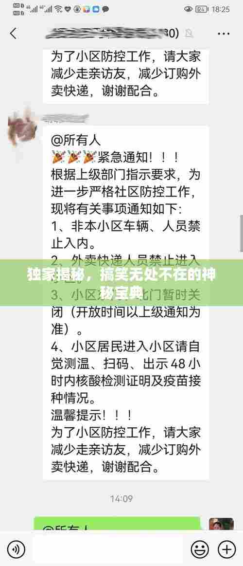 独家揭秘，搞笑无处不在的神秘宝典