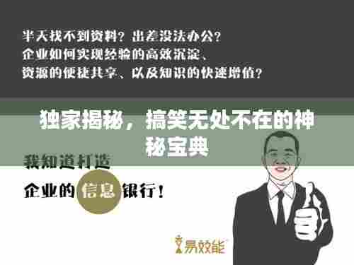 独家揭秘,搞笑无处不在的神秘宝典