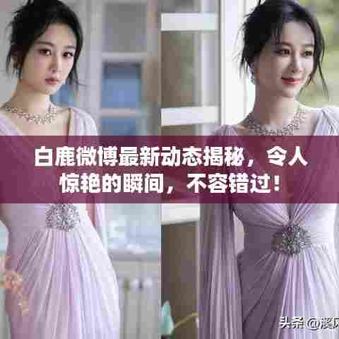 白鹿微博最新动态揭秘,令人惊艳的瞬间,不容错过!