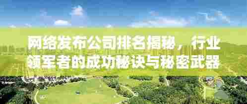 网络发布公司排名揭秘，行业领军者的成功秘诀与秘密武器