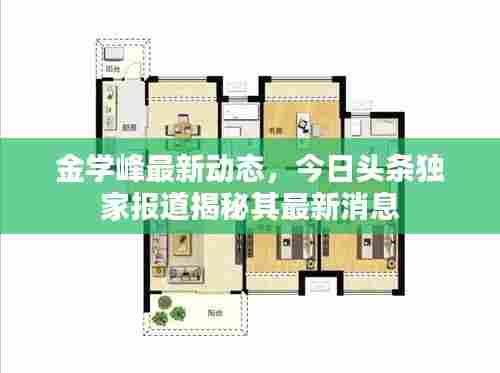 金学峰最新动态，今日头条独家报道揭秘其最新消息