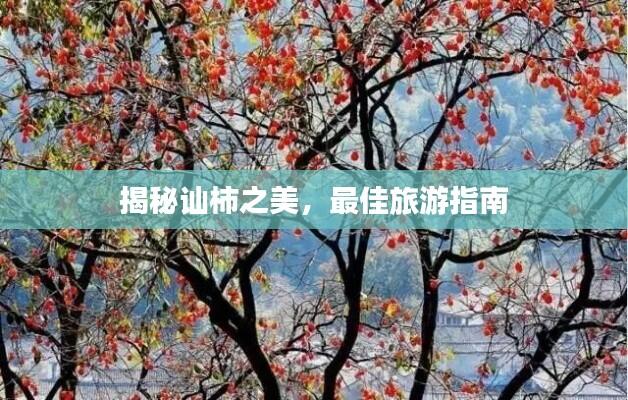 揭秘讪柿之美，最佳旅游指南