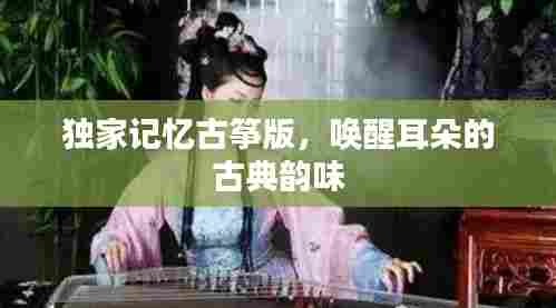 独家记忆古筝版，唤醒耳朵的古典韵味