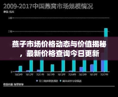 燕子市场价格动态与价值揭秘，最新价格查询今日更新