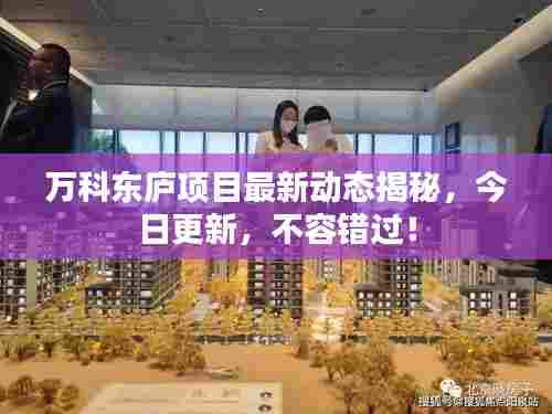 万科东庐项目最新动态揭秘,今日更新,不容错过!