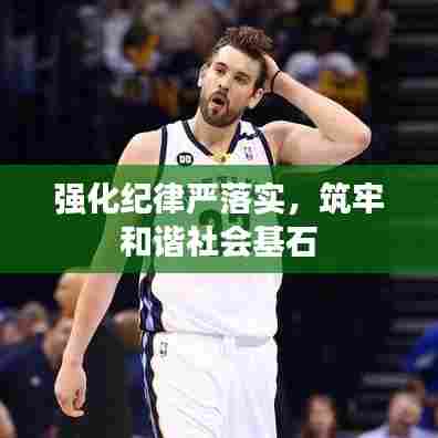 强化纪律严落实,筑牢和谐社会基石