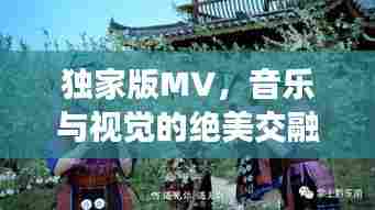 独家版MV，音乐与视觉的绝美交融