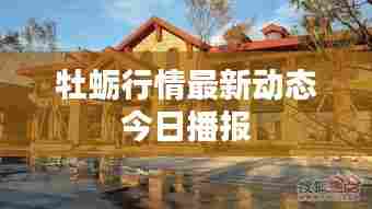 牡蛎行情最新动态今日播报