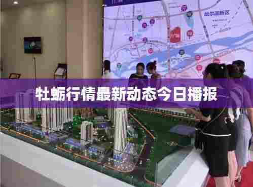 牡蛎行情最新动态今日播报